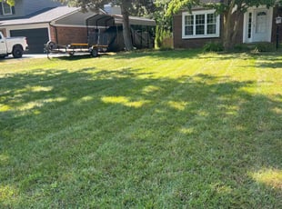 Edward M.'s Lawn Care service result
