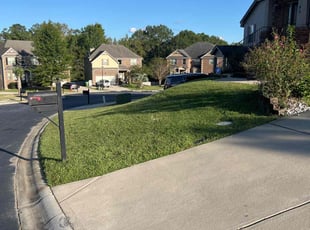 Shannon B.'s Lawn Maintenance service result