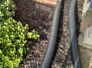 Cleanups by Courtney Smith for CAROLYN G. in Memphis, TN