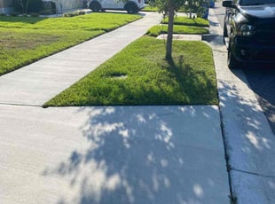 Ashley T.'s Lawn Mowing service result