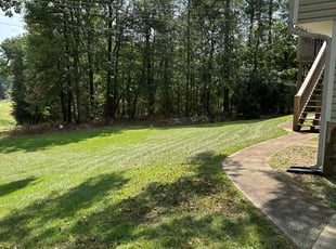 Martin P.'s Lawn Mowing service result