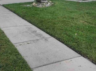 Ezra E.'s Yard Cutting service result