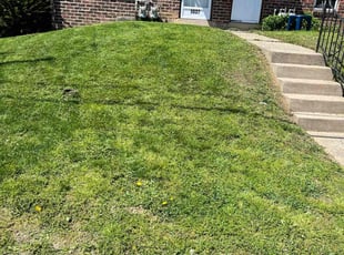 Bryan B.'s Grass Cutting service result