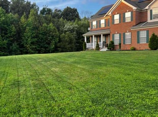 Mary B.'s Lawn Care service result