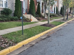 Leaf Removal by Michelle Estes for Chevon B. in Hyattsville, MD