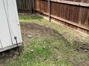 Leaf Removal by Renan Medina for Janine S. in Fort Worth, TX