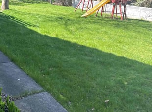 Sharon J.'s Lawn Maintenance service result