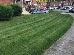 Craig W.'s Lawn Service service result
