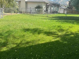 Lisa B.'s Grass Cutting service result