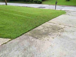 Laura C.'s Lawn Service service result