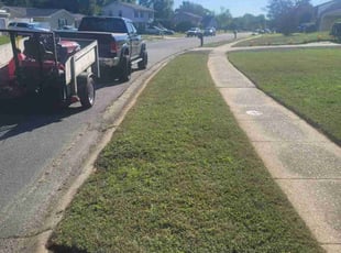 Tahtianna W.'s Lawn Mowing service result