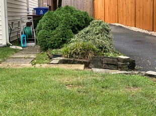 Bush Trimming by Caree Keith for Sonam L. in Arlington, VA