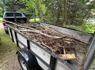 Cleanups by Phillip Crews for Mark W. in Northwood, OH