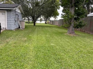 Steven D.'s Lawn Care service result