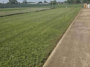 Jonathan P.'s Yard Cutting service result