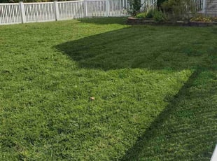 Min M.'s Lawn Care service result