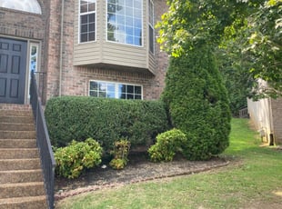 Bush Trimming by Christopher and Karen Shive for Cheryl L. in Nashville, TN