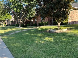 Portia B.'s Lawn Mowing service result