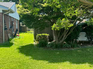 Andrea P.'s Lawn Mowing Service service result