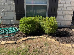 Bush Trimming by Bryant Holloway sr for Dobbins J. in Edmond, OK