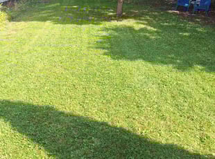 Louis M.'s Lawn Maintenance service result