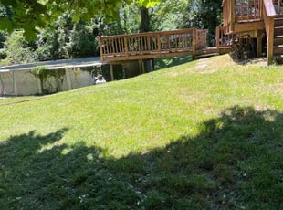 Whitney L.'s Lawn Care service result