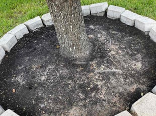 Weeding by Domingo Rosas for Terrance C. in Houston, TX
