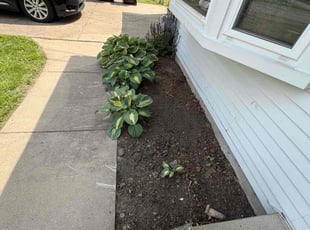 Weeding by Cameron Garrett for Tracey S. in Lansing, MI