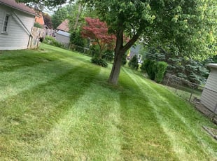 Cleanups by Kyle Yacko for Kelly S. in St. Clair Shores, MI