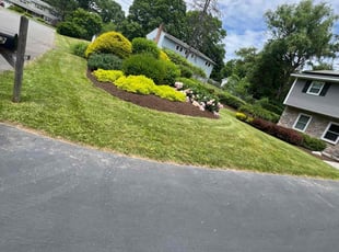 FRED M.'s Yard Cutting service result