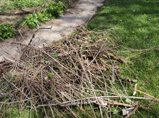 Weeding by David Dawson for Anna K. in Madison, WI
