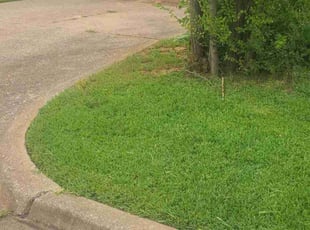 Nicole H.'s Lawn Care service result