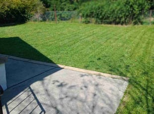 Shellz B.'s Grass Cutting service result