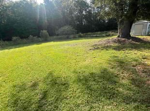 HENRY Teresa Z.'s Lawn Maintenance service result