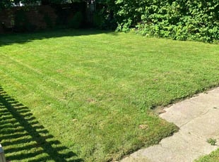 Andy M.'s Lawn Maintenance service result