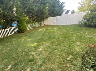 Haley M.'s Lawn Mowing service result