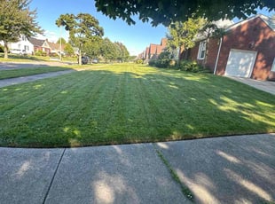 Christopher B.'s Lawn Service service result