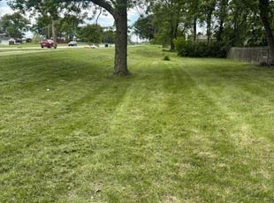 Tess C.'s Grass Cutting service result