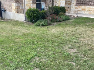 Weeding by Bradley Matthiesen for Danielle E. in Boerne, TX