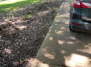 Leaf Removal by Rodney Wakefield Bey for Ken B. in Memphis, TN