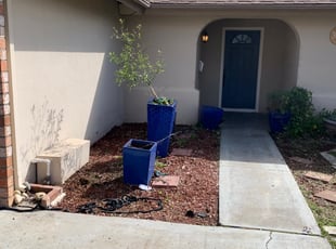Bush Trimming by Jonathan Allen for Lawn S. in Sacramento, CA
