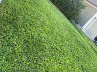 Nick C.'s Grass Cutting service result