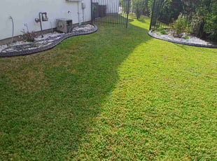 Kellie L.'s Lawn Mowing service result