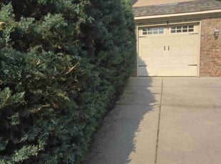 Bush Trimming by Richie Emory for Matt W. in Locust Grove, GA