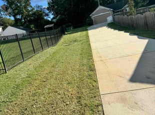 Nicole D.'s Lawn Service service result