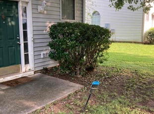 Bush Trimming by Carl Hunt for Amanda M. in Riverdale, GA