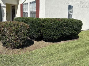 Bush Trimming by Kelvin Williams for Guana W. in Jacksonville, FL