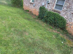 Bush Trimming by Arey Cooper for Robyn M. in Riverdale, GA
