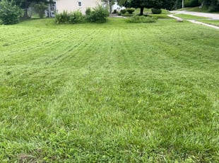 Korie C.'s Lawn Care service result