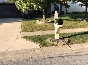 Bush Trimming by Jeffery Anderson for George W. in Indianapolis, IN